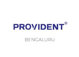 Provident Logo